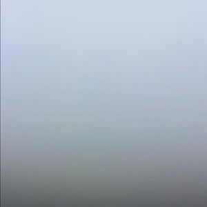 Meet your Posher, Izzy